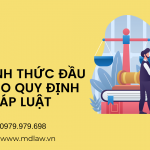 CÁC HÌNH THỨC ĐẦU TƯ THEO QUY ĐỊNH PHÁP LUẬT