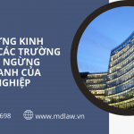 TẠM NGỪNG KINH DOANH, CÁC TRƯỜNG HỢP TẠM NGỪNG KINH DOANH CỦA DOANH NGHIỆP