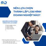 Nên lựa chọn thành lập loại hình doanh nghiệp nào?