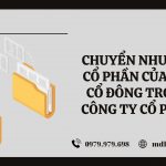 CHUYỂN NHƯỢNG CỔ PHẦN CỦA CÁC CỔ ĐÔNG TRONG CÔNG TY CỔ PHẦN